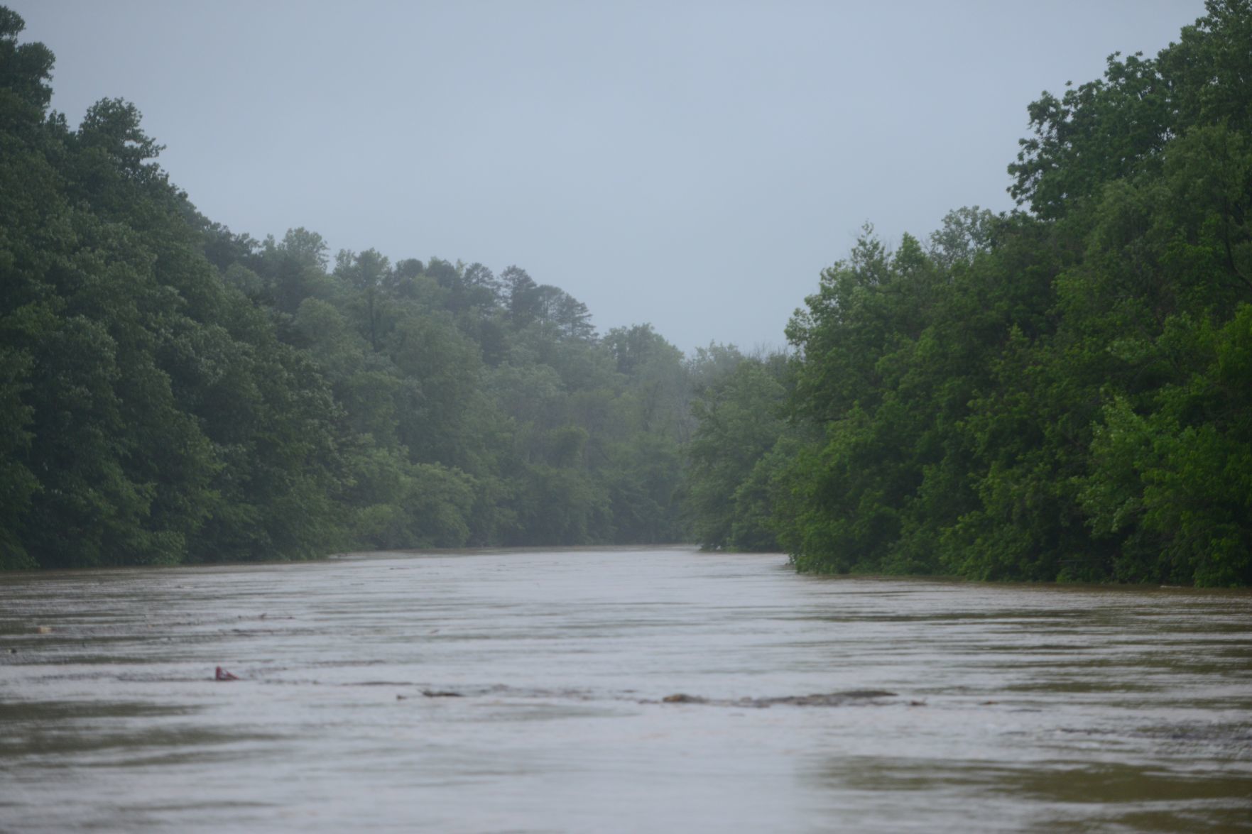 Flood 5.jpg